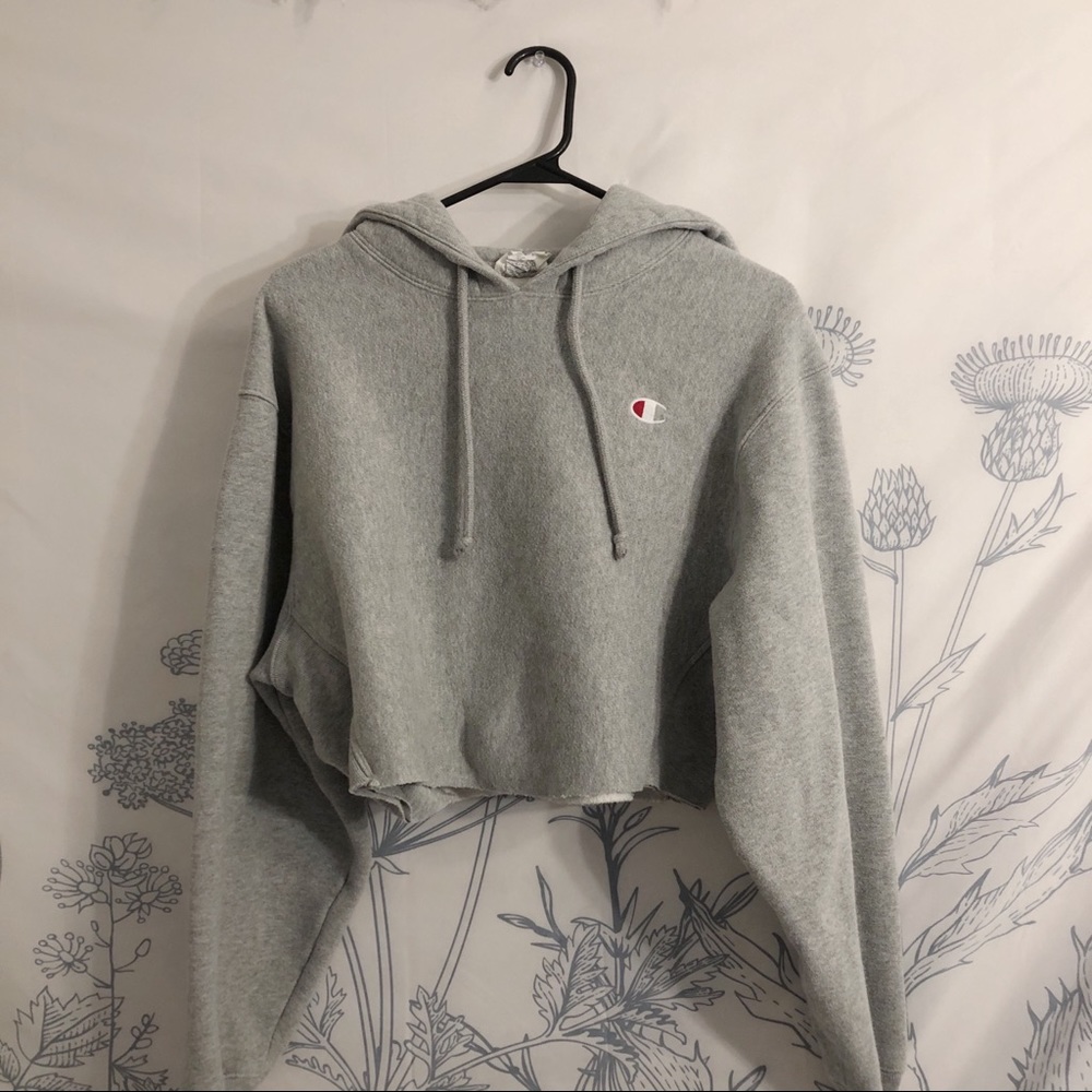 Urban Outfitters Champion Cropped Hoodie Size M